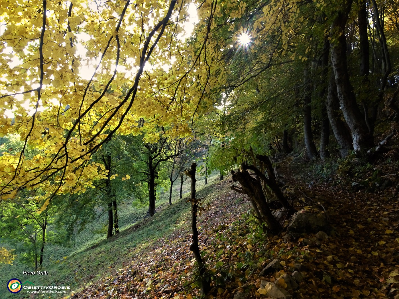 18 Sul sent. 506 dal Passo del Crosnello per il Monte Zucco.JPG